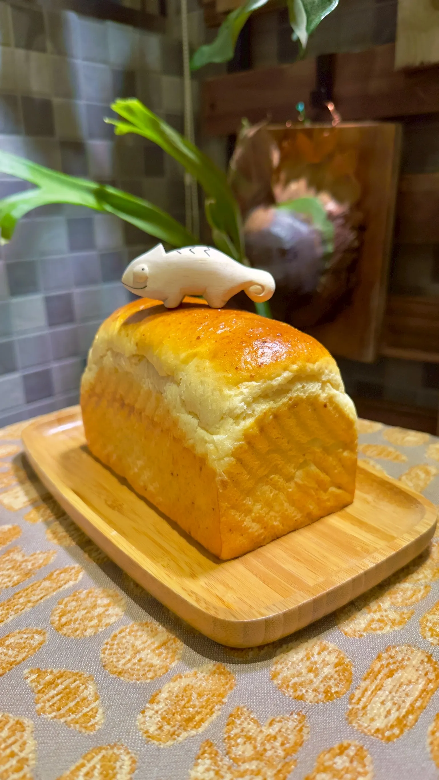 肉乾吐司